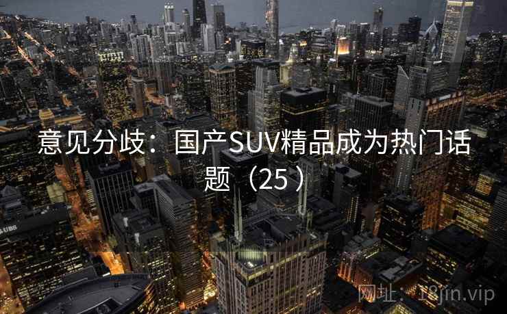 意见分歧：国产SUV精品成为热门话题（25 ）