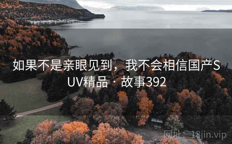 如果不是亲眼见到，我不会相信国产SUV精品 · 故事392